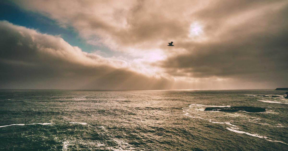 The World’s Most Bizarre Festivals That Actually Exist