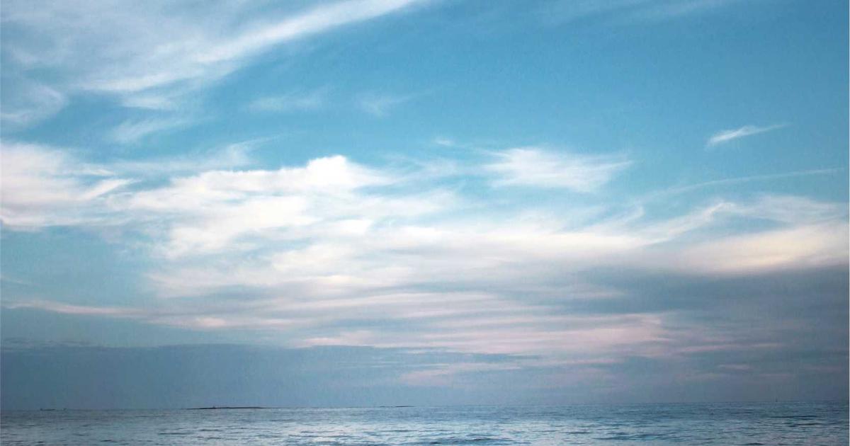 The Most Savage Customer Reviews Ever Posted Online