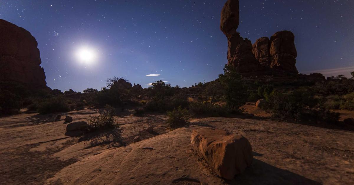 Historical Events That Sound Completely Fake But Actually Happened