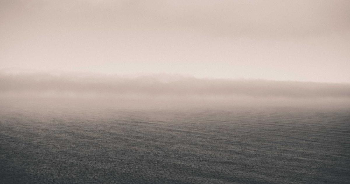 Celebrities Who Secretly Own the Most Bizarre Businesses